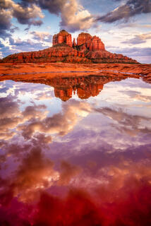 A reflection of Cathedral Rock in a puddle